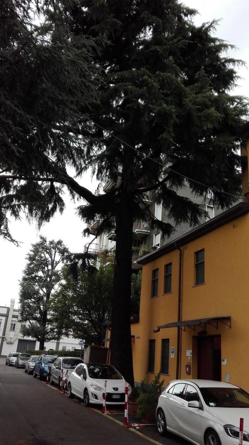 Residence Il Pino Saronno Zewnętrze zdjęcie